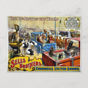 Zirkus der Vergangenheit - Sells Brothers Circus Postkarte