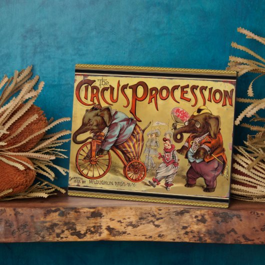 Zirkus Fotoplatte (Seite)