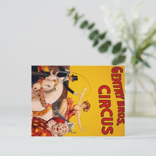 Zirkus-Pferd Postkarte (Stehend Vorderseite)