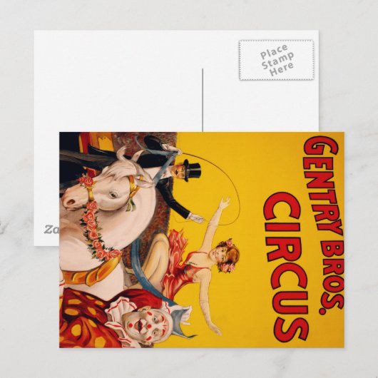 Zirkus-Pferd Postkarte (Vorne/Hinten)