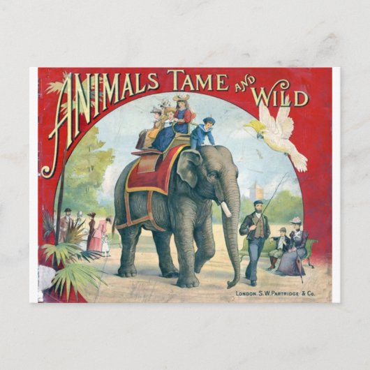 Zirkus-Vintage-Postkarte Postkarte (Vorderseite)