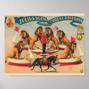Zirkus-Werbeplakat im Vintage-Stil Poster