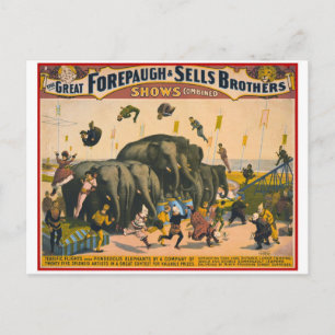 Zirkuselefant-Akrobaten Forepaugh & Sell Vintage Postkarte