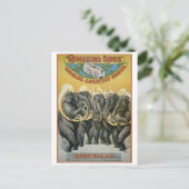 ZirkusElefanten-Blaskapelle Postkarte (Stehend Vorderseite)