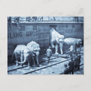 Zirkuselefanten im Ringling-Schienenwagen im Vinta Postkarte