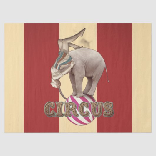 Zirkusfest  seidenpapier (Vorderseite)