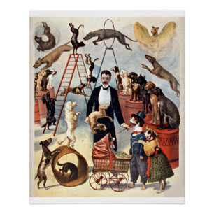 Zirkushunde, Vintage-Illustration, Poster