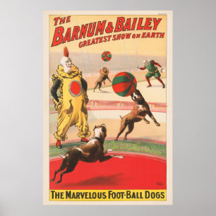 Zirkusplakat mit Clowns und dressierten Hunden Poster