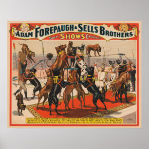 Zirkusplakat mit Great Danes und Trainer Poster