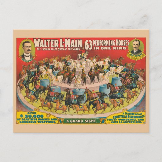 Zirkusposter mit 63 Darstellenden Pferden in einem Postkarte (Vorderseite)