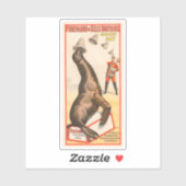 Zirkusposter mit einer Seelenlion, die Hasen fängt Aufkleber (Blatt)