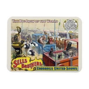 Zirkusposter mit Wildtieren in Käfigen Magnet