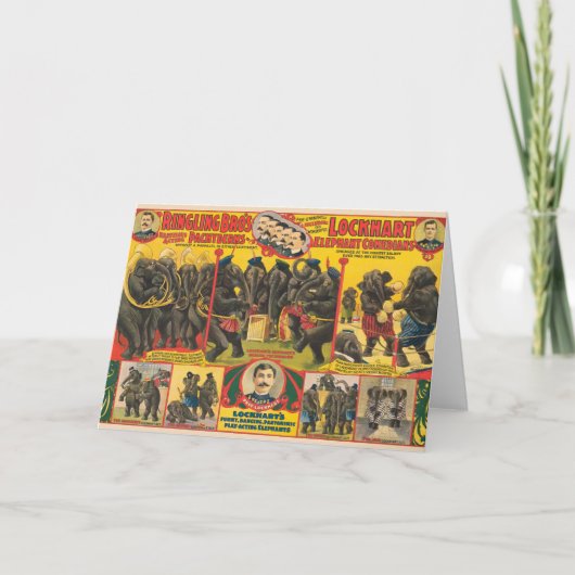 Zirkusposter von Elefanten Darstellend Karte (Vorderseite)