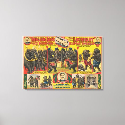 Zirkusposter von Elefanten Darstellend Leinwanddruck (Vorderseite)