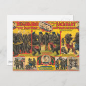 Zirkusposter von Elefanten Darstellend Postkarte (Vorne/Hinten)