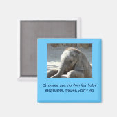 Zirkusse machen den Elefanten keinen Spaß Magnet (Vorderseite/Rückseite)