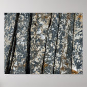 Zisternen Poster (Vorne)