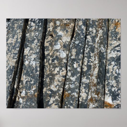 Zisternen Poster (Vorne)