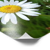 Zitat aus Fotografie und Kalligrafie (Ecke)