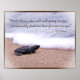 Zitat Baby Sea Turtle Sand Ocean Poster
