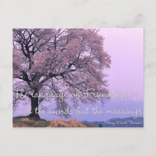 Zitat der Freundschaft 1 - Cherry Blossom Tree Pos Postkarte