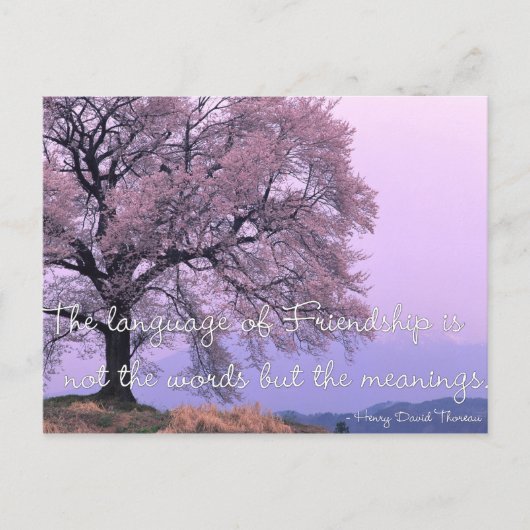 Zitat der Freundschaft 1 - Cherry Blossom Tree Pos Postkarte (Vorderseite)