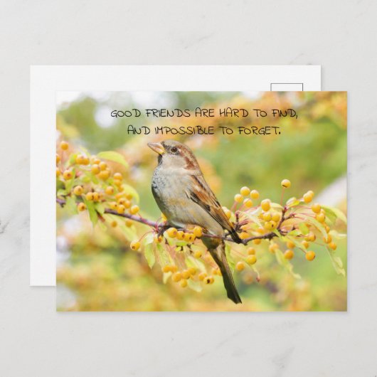 Zitat der Freundschaft Bird und Gelbe Blumen Postkarte (Vorne/Hinten)