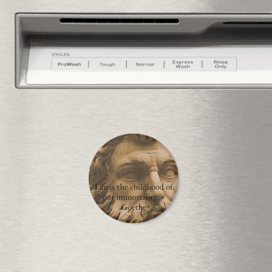 Zitat der Inspiration Magnet (In Situ (Geschirrspüler))