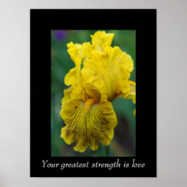 Zitat-Iris-Blume-Poster Poster