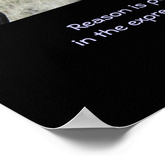 Zitat mit zwei braunen Wildpferden Poster (Ecke)