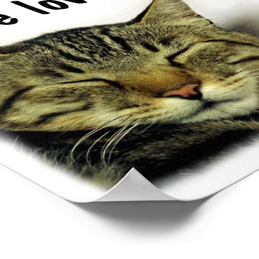 Zitat-Plakat Poster (Ecke)