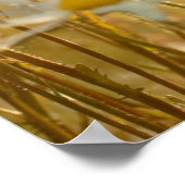 Zitat-Poster für Inspirationen - Fotografie Poster (Ecke)