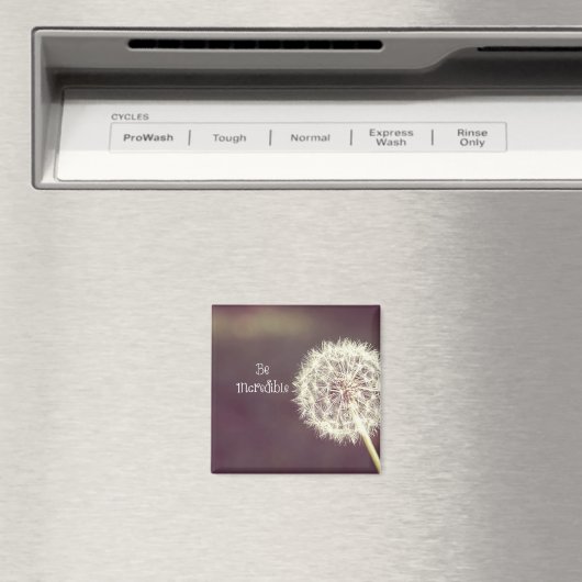 Zitat: Seien Sie unglaublich Magnet (In Situ (Geschirrspüler))