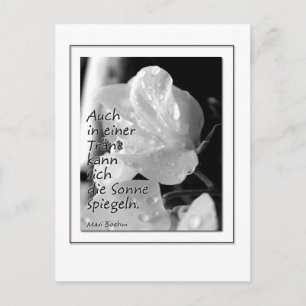 Zitat Traene Postkarte