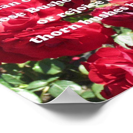 Zitat über Rose von Abraham Lincoln Poster (Ecke)