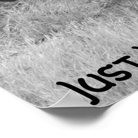 Zitat und Zebra-Poster Poster (Ecke)