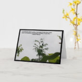 Zitat von Blackbird Karte (Gelbe Blume)