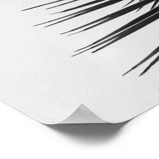 Zitat von CALM-Schwarz-Weiß-Palmen behalten Poster (Ecke)