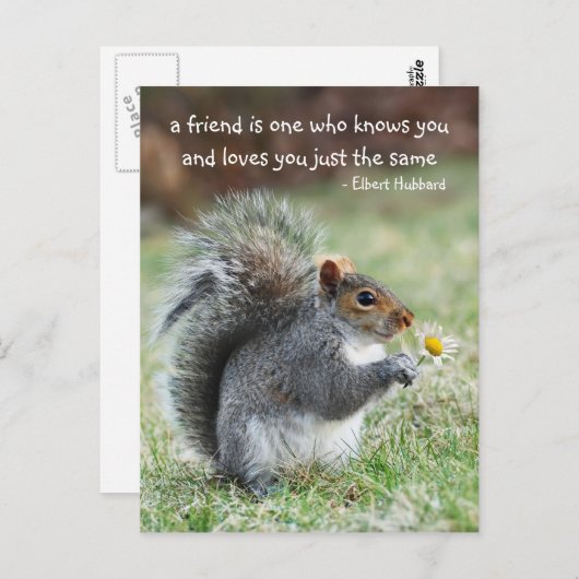 Zitat von Eichhörnchen Freundschaft Postkarte (Vorne/Hinten)