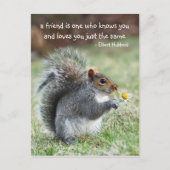 Zitat von Eichhörnchen Freundschaft Postkarte (Vorderseite)