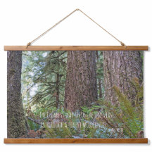 Zitat von Giant Conifer Forest und John Muir Natur