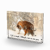 Zitat von Mutter Tiger und Cube Inspirierend Fotoblock (Rechts)