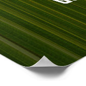 Zitat von Plato Poster (Ecke)