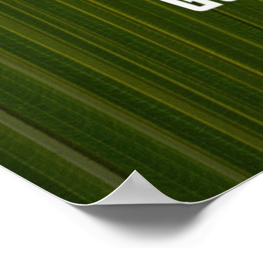 Zitat von Plato Poster (Ecke)