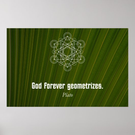 Zitat von Plato Poster (Vorne)