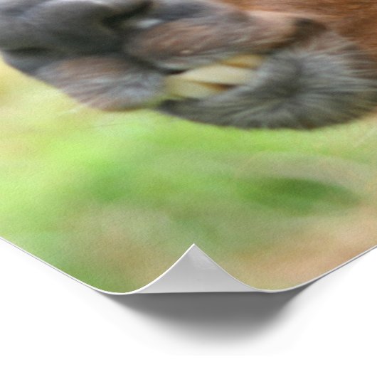 Zitat zum Zorn des Zorns Llama Inspiration Poster (Ecke)