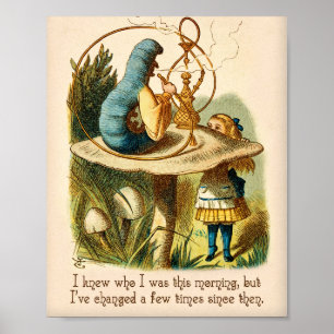 Zitat zur Alice im Wunderland - Ich wusste, wer ic Poster