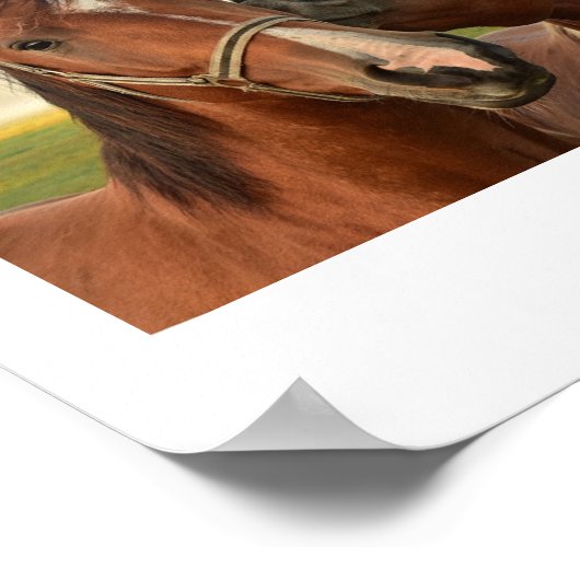 Zitat zur Freundschaft Poster (Ecke)