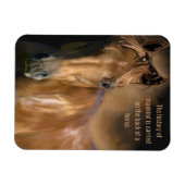 Zitat zur Geschichte von Pferden und Mankind Magnet (Horizontal)