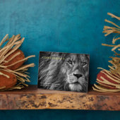 Zitat zur Vertrauensfrage Fotoplatte (Seite)